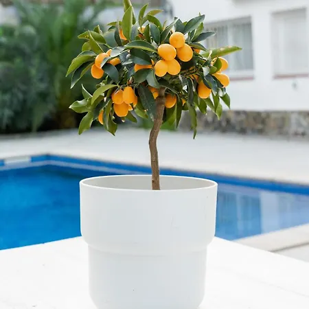 Holiday home Mimosa Dorada